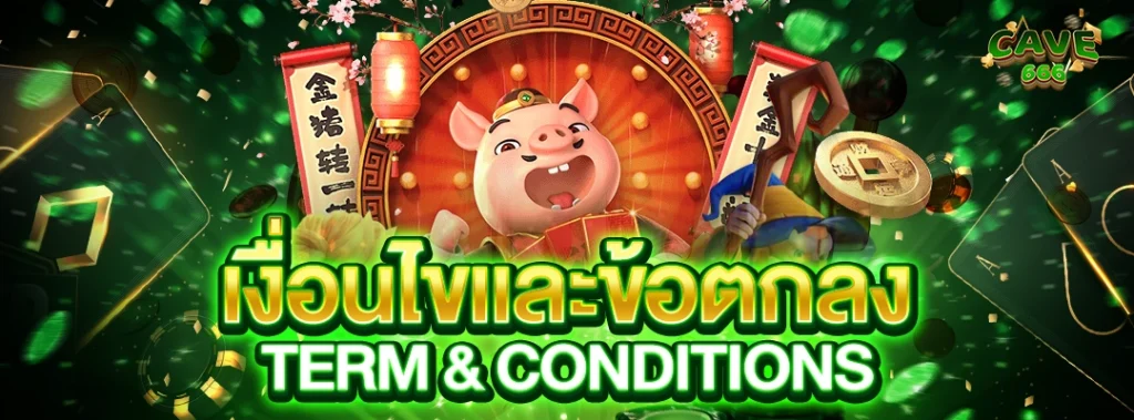 เงื่อนไขและข้อตกลง Term & Conditions