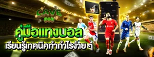 แทงบอล cave666
